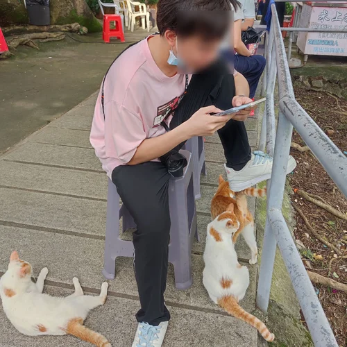 抢票