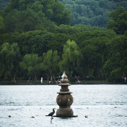 三潭印月